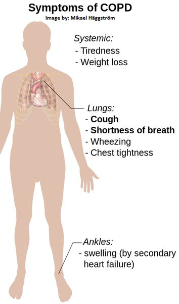 A Brief 101 About Working with Pulmonary Disease in Massage Therapy and Bodywork