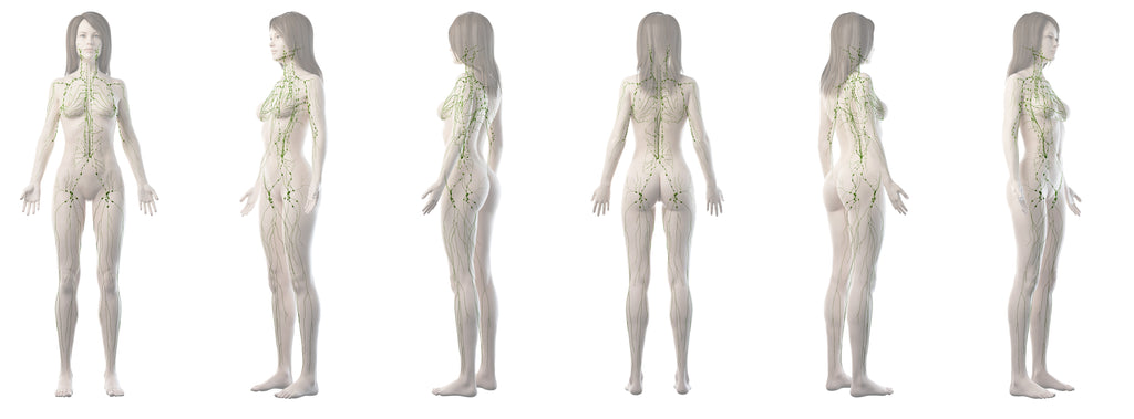 FREE Lymphatic Drainage Training is TODAY!!!