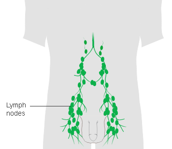 Manual Lymphatic Drainage MLD Abdominal, Belly or Tummy Pumping Hands-on Instructor Demonstration