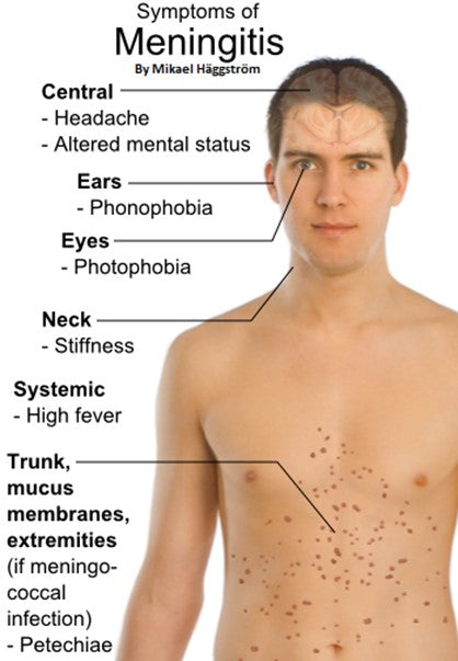 A Brief 101 About Meningitis for Massage Therapists & Bodyworkers