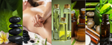 Self-paced Online Home Study 24 CE Advanced Lava Lomi Lomi with Alohatherapy
