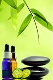 Self-paced Online Home Study 24 CE Advanced Lava Lomi Lomi with Alohatherapy