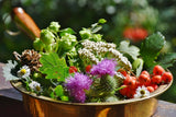 Self-paced Online Home Study 24 CE Advanced Lava Lomi Lomi with Alohatherapy