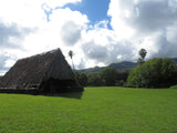 Self-paced Online Home Study 24 CE Advanced Lava Lomi Lomi with Alohatherapy