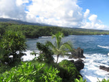 Self-paced Online Home Study 24 CE Advanced Lava Lomi Lomi with Alohatherapy