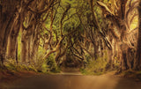 Self-paced Online Home Study 24 CE Advanced Lava Lomi Lomi with Alohatherapy