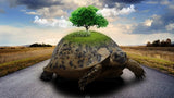 Self-paced Online Home Study 24 CE Advanced Lava Lomi Lomi with Alohatherapy