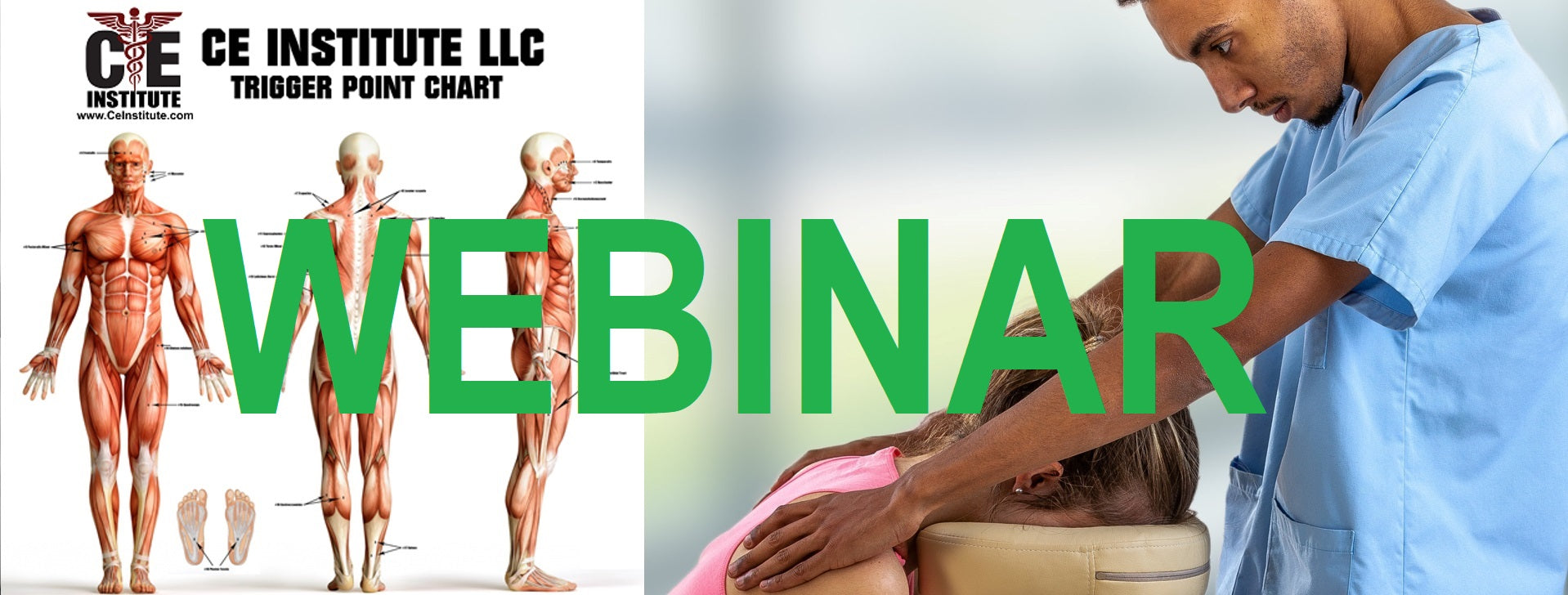 24 CE FL LMT Renewal Live Webinar & Home Study Package: Trigger Point Therapy & Chair Massage
