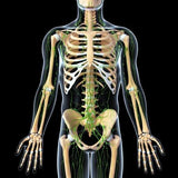 LIVE IN-PERSON 18 CE Hour Full Body Manual Lymphatic Drainage in Miami Florida