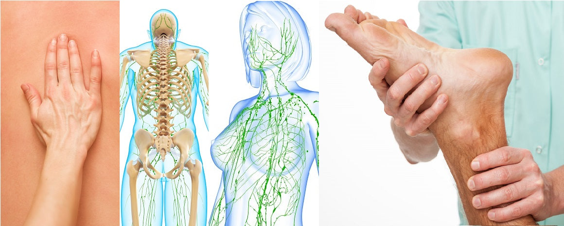 LIVE IN-PERSON 24 CE Hour Manual Lymphatic Drainage Full Body & Facial in Miami FL