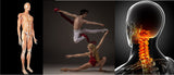 Self-paced Home Study 12 CE Sports Massage with Active Assisted Lower Body Stretching