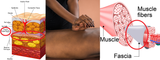 Self-paced Online Home Study 12 CE Sports Massage & Myofascial Release