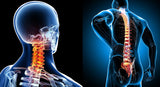 Self-paced Online Home Study 6 CE Active Assisted UPPER Body Stretching (AAS)