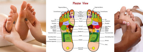 6 CE Hour Foot Reflexology Basics
