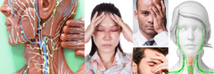 LIVE-IN PERSON 6 CE Hour Lymphatic Facial in Miami Florida