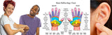 Self-paced Home Study 12 CE Hand & Ear Reflexology with Chair Event Massage