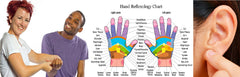LIVE IN-PERSON 6 CE Hour Hand & Ear Reflexology in CENTRAL FLORIDA