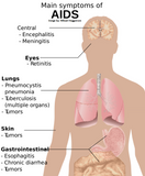 4 Hour HIV & AIDS Initial Education Self-Paced Home Study E-book Course ONLINE for the FL Board of Cosmetology