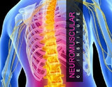 24 CE FL LMT Renewal Live Webinar & Home Study Package:  Myofascial & Neuromuscular Therapy