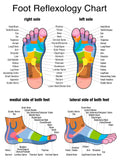 LIVE-IN PERSON 12 CE Hour Foot Reflexology Basics with Advanced Medical Foot Massage in CENTRAL FLORIDA