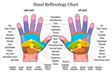 LIVE IN-PERSON 12 CE Hour Reflexology: Foot, Hand & Ear in CENTRAL FLORIDA