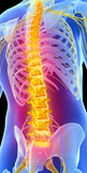 Self-paced Online Homestudy 24 CE Advanced Medical Massage