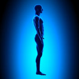 LIVE IN-PERSON 12 CE Hour Trigger Point Therapy & Myofascial Release