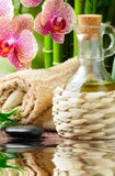 Self-paced Online Home Study 12 CE Aromatherapy & Hot Stone Massage Basics