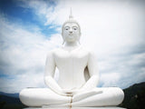 6 CE Ayurveda Foot, Face & Head Marma Massage (Computer-Based Live Interactive Webinar)