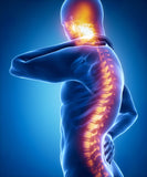 Self-paced Online  Home Study 12 CE Active Assisted FULL BODY Stretching (AAS)