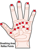 Self-paced Home Study 12 CE Hand & Ear Reflexology with Chair Event Massage