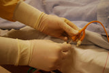 24 CE Advanced Geriatric Oncology Bodywork & Massage (Computer-Based Live Interactive Webinar)