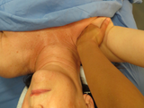Self-paced Online Home Study 6 CE Neuromuscular Therapy Basics