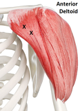 Self-paced Home Study 12 CE Chair Event Massage with Trigger Point Therapy
