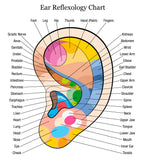 6 CE Hour Hand & Ear Reflexology (Computer-based Live Interactive Webinar)