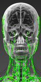 LIVE IN-PERSON 24 CE Hour Manual Lymphatic Drainage Full Body & Facial in Miami FL