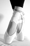 Self-paced Online Home Study 12 CE Active Assisted LOWER Body Stretching (AAS) & Advanced Medical Foot Massage