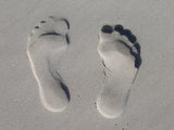 LIVE IN-PERSON 12 CE Hour Reflexology: Foot, Hand & Ear in CENTRAL FLORIDA