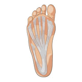 LIVE-IN PERSON 12 CE Hour Foot Reflexology Basics with Advanced Medical Foot Massage in CENTRAL FLORIDA
