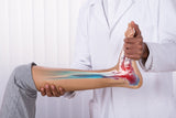 Self-paced Online Home Study 6 CE Active Assisted LOWER Body Stretching (AAS)