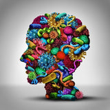 24 CE FL LMT Renewal Live Webinar & Home Study Package: Trigger Point Therapy & Chair Massage