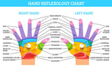 Self-paced Online Home Study 6 CE Hand & Ear Reflexology