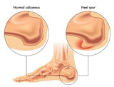 Self-paced Online Home Study 12 CE Active Assisted LOWER Body Stretching (AAS) & Advanced Medical Foot Massage
