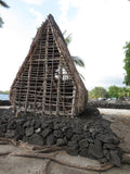 24 CE Advanced Lava Lomi Lomi with Alohatherapy (Computer-Based Live Interactive Webinar)