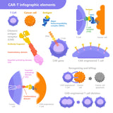 24 CE Advanced Geriatric Oncology Bodywork & Massage (Computer-Based Live Interactive Webinar)