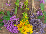 Self-paced Online Home Study 12 CE Aromatherapy & Hot Stone Massage Basics