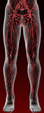 LIVE IN-PERSON 24 CE Hour Manual Lymphatic Drainage Full Body & Facial in Miami FL