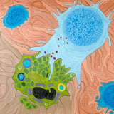18 CE Hour Full Body Manual Lymphatic Drainage (Computer-based Live Interactive Webinar)