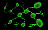 LIVE IN-PERSON 24 CE Hour Manual Lymphatic Drainage Full Body & Facial in Miami FL