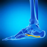 Self-paced Online Home Study 12 CE Active Assisted LOWER Body Stretching (AAS) & Advanced Medical Foot Massage
